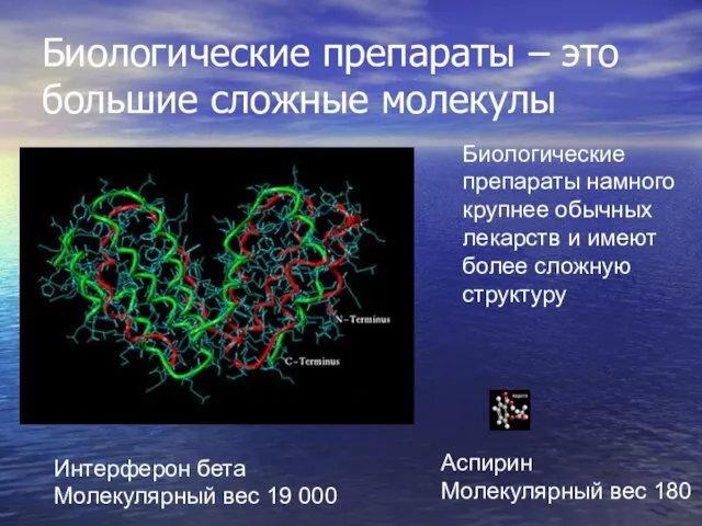 Биологические препараты намного крупнее обычных лекарств и имеют более сложную структуру Интерферон