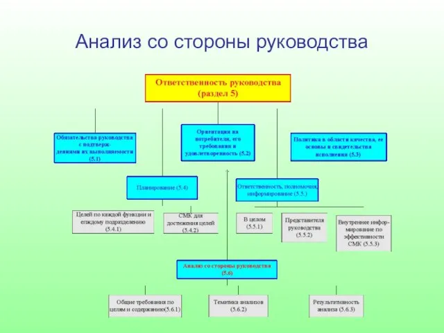 Анализ со стороны руководства