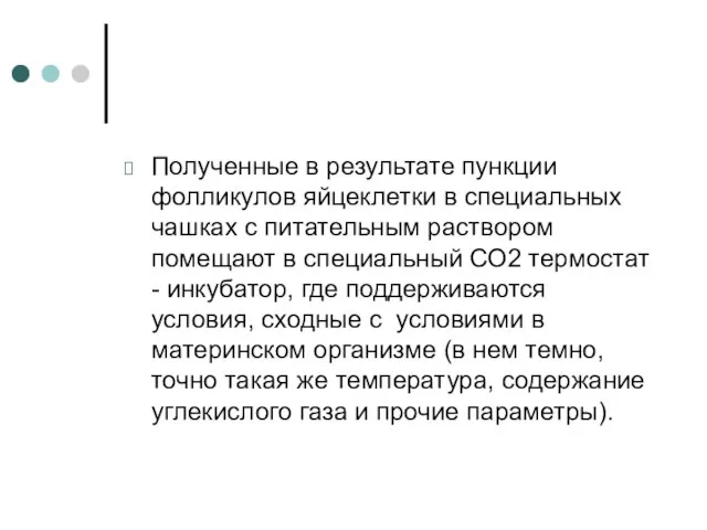 Полученные в результате пункции фолликулов яйцеклетки в специальных чашках с питательным раствором