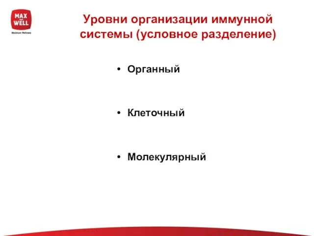 Уровни организации иммунной системы (условное разделение) Органный Клеточный Молекулярный