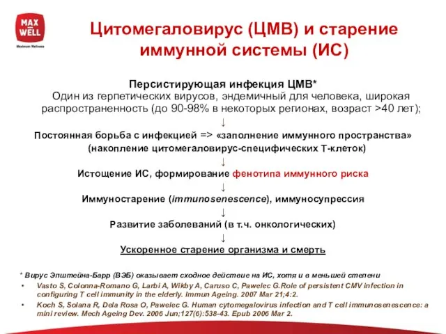 Цитомегаловирус (ЦМВ) и старение иммунной системы (ИС) Персистирующая инфекция ЦМВ* Один из