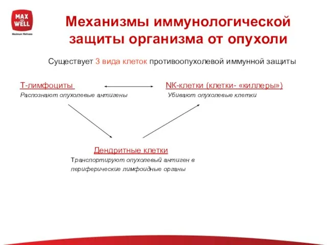 Механизмы иммунологической защиты организма от опухоли Существует 3 вида клеток противоопухолевой иммунной