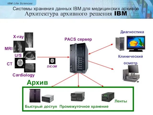 X-ray MRI U/S CT Cardiology PACS сервер Быстрый доступ Ленты Диагностика Клинический