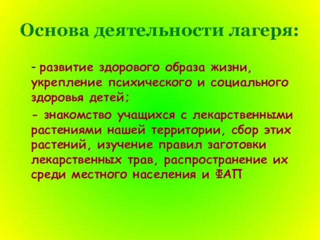 Основа деятельности лагеря: - развитие здорового образа жизни, укрепление психического и социального