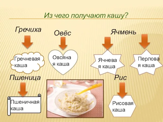 Перловая каша Гречиха Гречневая каша Овёс Овсяная каша Ячмень Ячневая каша Пшеница