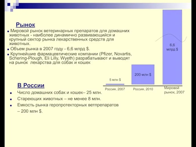 Рынок В России Число домашних собак и кошек– 25 млн. Стареющих животных