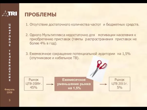 ПРОБЛЕМЫ 1. Отсутствие достаточного количества частот и бюджетных средств. 2. Одного Мультиплекса