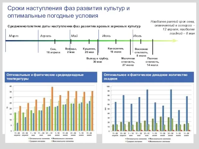 Среднемноголетние даты наступления фаз развития яровых зерновых культур Оптимальные и фактические среднедекадные