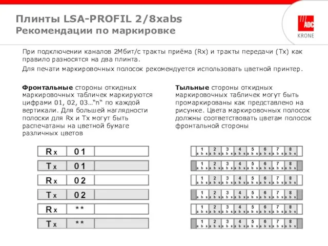 При подключении каналов 2Мбит/с тракты приёма (Rx) и тракты передачи (Tx) как