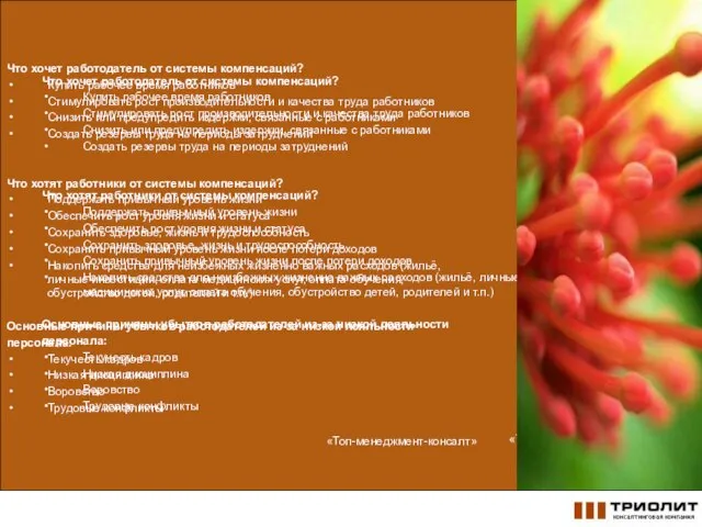 Что хочет работодатель от системы компенсаций? Купить рабочее время работников Стимулировать рост