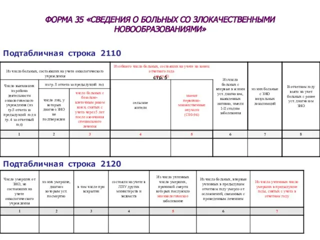 ФОРМА 35 «СВЕДЕНИЯ О БОЛЬНЫХ СО ЗЛОКАЧЕСТВЕННЫМИ НОВООБРАЗОВАНИЯМИ» (2010) стр. 5 (2010)