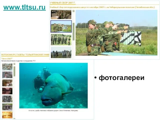 www.tltsu.ru фотогалереи