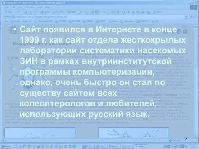 Сайт появился в Интернете в конце 1999 г. как сайт отдела жесткокрылых