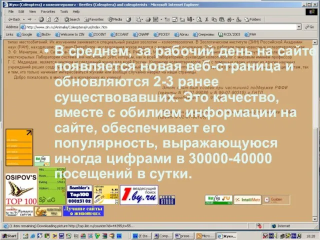 В среднем, за рабочий день на сайте появляется новая веб-страница и обновляются