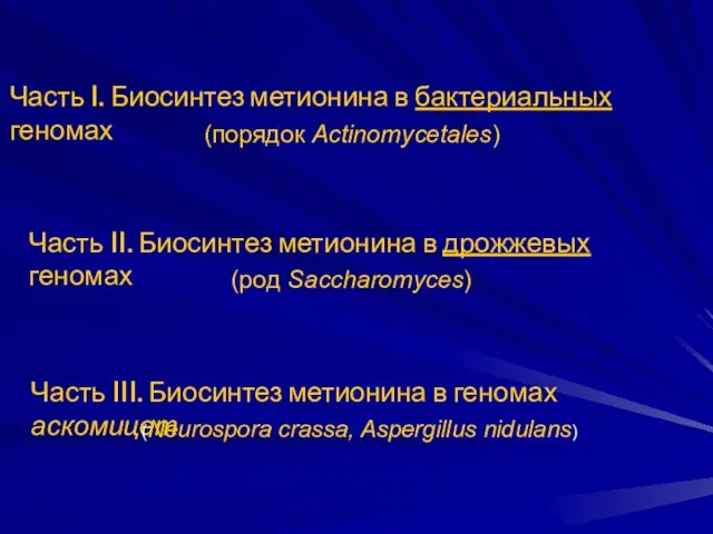 Часть I. Биосинтез метионина в бактериальных геномах (порядок Actinomycetales) Часть II. Биосинтез