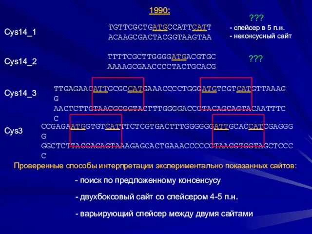 Cys14_1 TGTTCGCTGATGCCATTCATT ACAAGCGACTACGGTAAGTAA Cys14_2 TTTTCGCTTGGGGATGACGTGC AAAAGCGAACCCCTACTGCACG Cys14_3 1990: TTGAGAACATTGCGCCATGAAACCCCTGGGATGTCGTCATGTTAAAGG AACTCTTGTAACGCGGTACTTTGGGGACCCTACAGCAGTACAATTTCC Cys3 CCGAGAATGGTGTCATTTCTCGTGACTTTGGGGGGATTGCACCATCGAGGGG