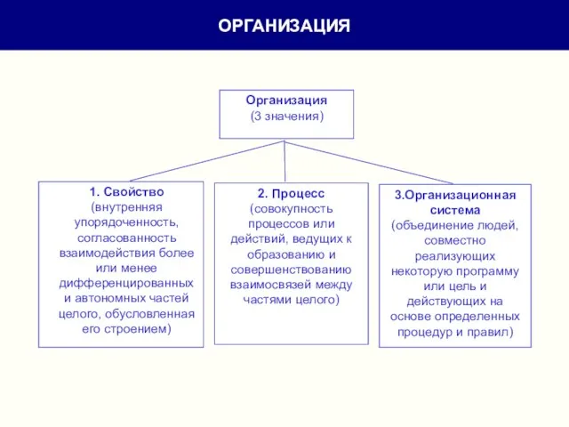 ОРГАНИЗАЦИЯ