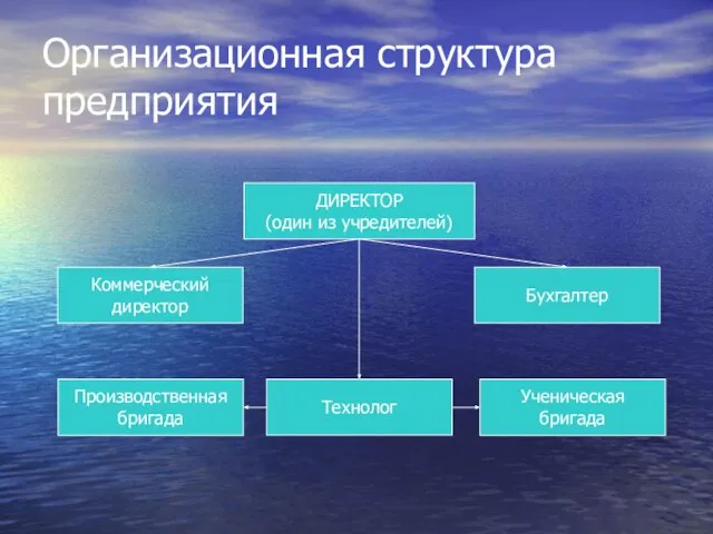 Организационная структура предприятия Коммерческий директор Ученическая бригада Производственная бригада Бухгалтер ДИРЕКТОР (один из учредителей) Технолог