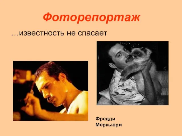 Фоторепортаж …известность не спасает Фредди Меркьюри