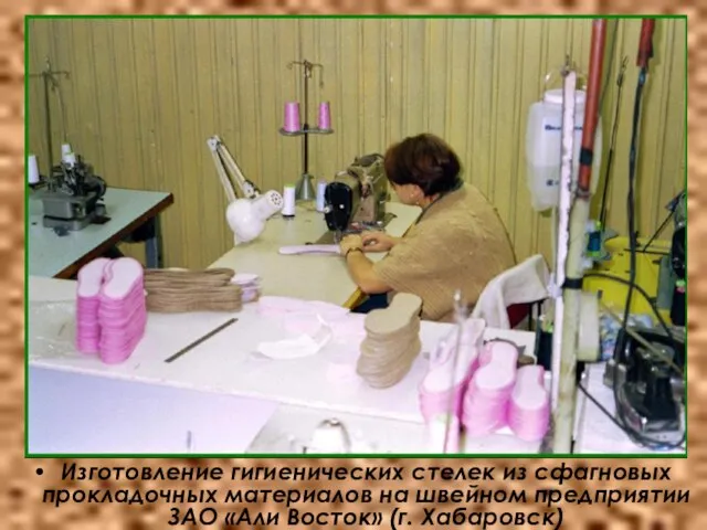 Изготовление гигиенических стелек из сфагновых прокладочных материалов на швейном предприятии ЗАО «Али Восток» (г. Хабаровск)
