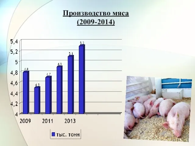 Производство мяса (2009-2014)