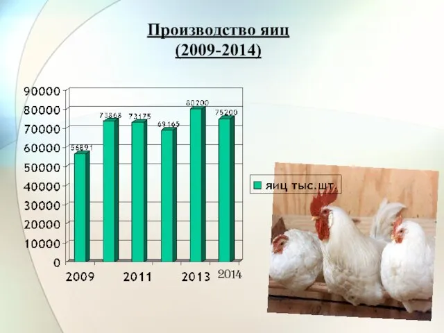 Производство яиц (2009-2014) 2014