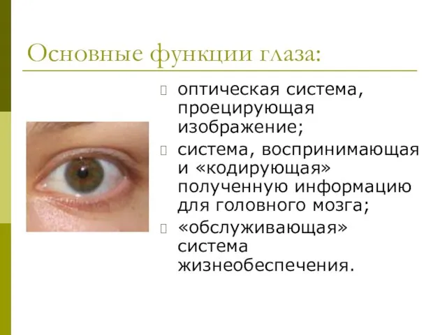 Основные функции глаза: оптическая система, проецирующая изображение; система, воспринимающая и «кодирующая» полученную