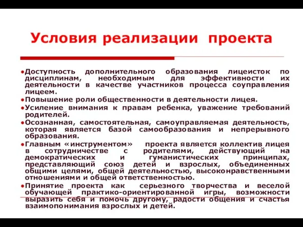 Условия реализации проекта Доступность дополнительного образования лицеисток по дисциплинам, необходимым для эффективности