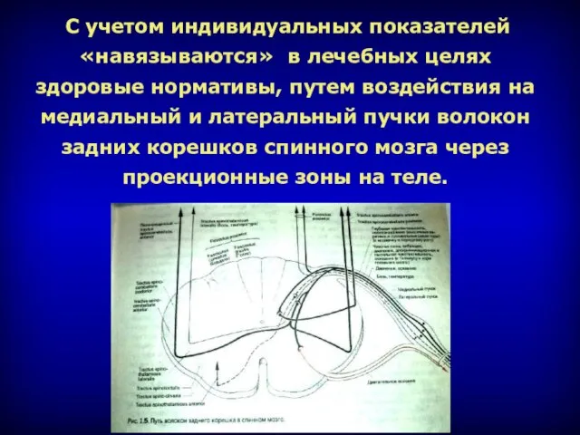 С учетом индивидуальных показателей «навязываются» в лечебных целях здоровые нормативы, путем воздействия