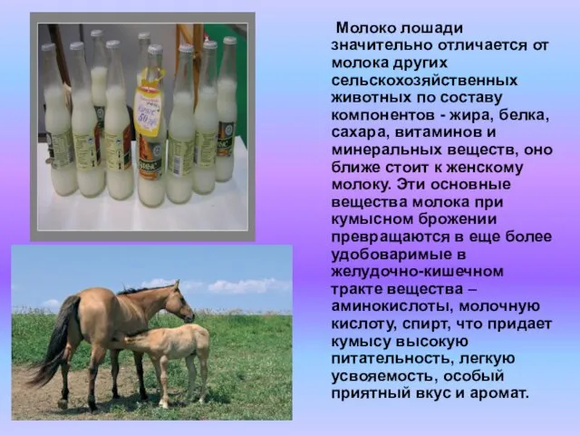 Молоко лошади значительно отличается от молока других сельскохозяйственных животных по составу компонентов