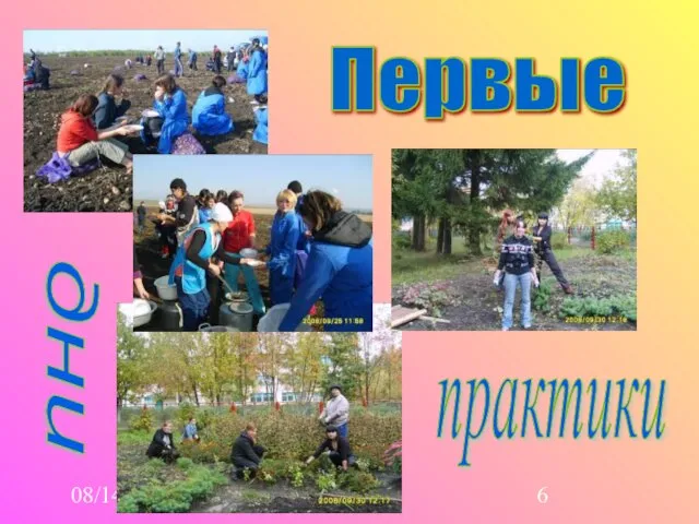 08/14/2023 Первые дни практики