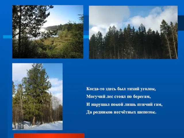 Когда-то здесь был тихий уголок, Могучий лес стоял по берегам, И нарушал