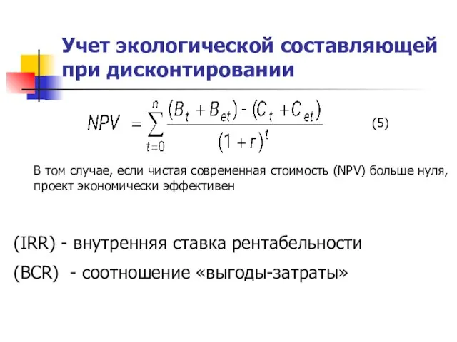 Учет экологической составляющей при дисконтировании В том случае, если чистая современная стоимость