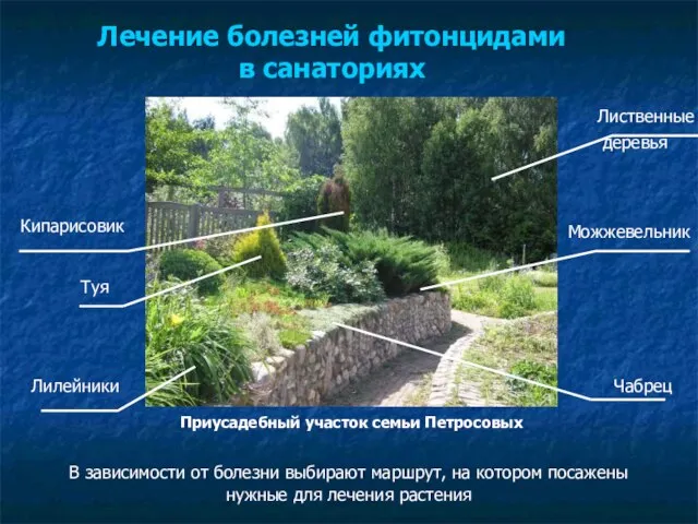 В зависимости от болезни выбирают маршрут, на котором посажены нужные для лечения