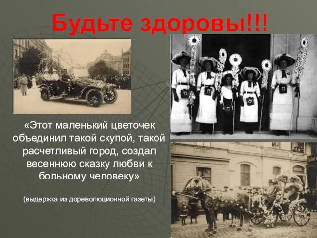 «Этот маленький цветочек объединил такой скупой, такой расчетливый город, создал весеннюю сказку