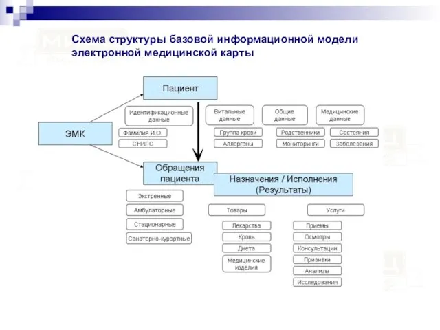 Схема структуры базовой информационной модели электронной медицинской карты