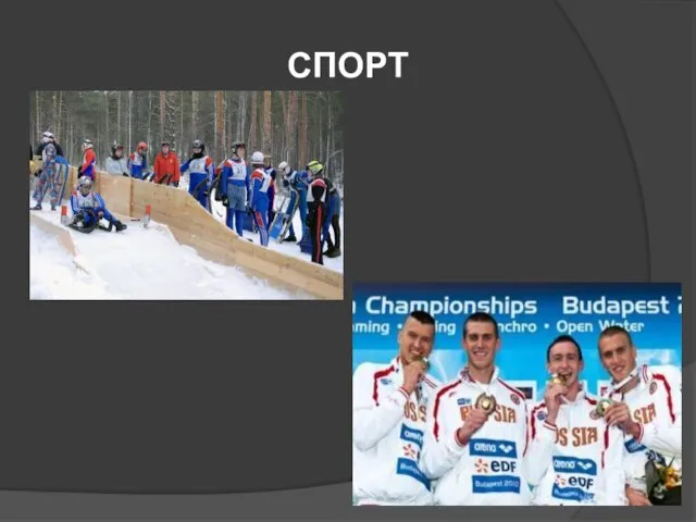 СПОРТ