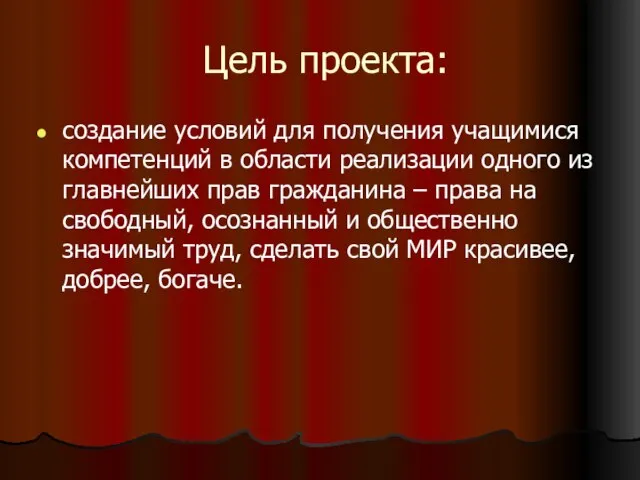 Цель проекта: создание условий для получения учащимися компетенций в области реализации одного