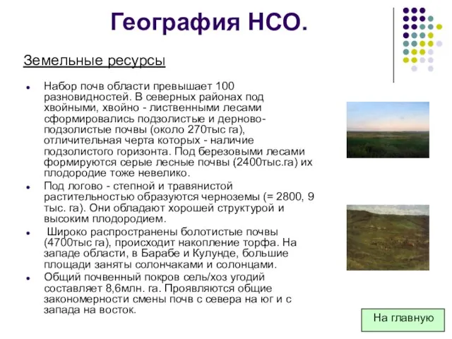 География НСО. Набор почв области превышает 100 разновидностей. В северных районах под