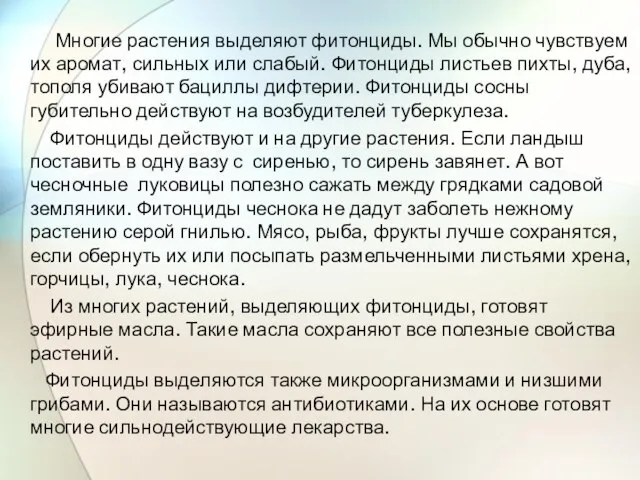 Многие растения выделяют фитонциды. Мы обычно чувствуем их аромат, сильных или слабый.