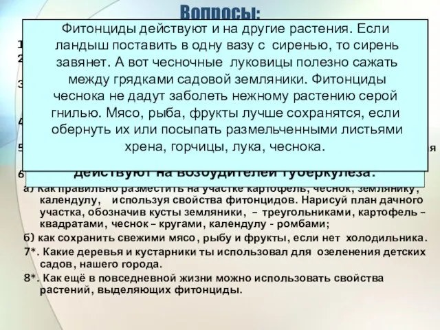 Вопросы: Что такое фитонциды? В каком лесу меньше всего микробов и вирусов: