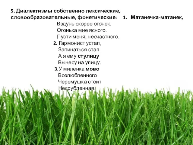 5. Диалектизмы собственно лексические, словообразовательные, фонетические: 1. Матанечка-матанек, Вздунь скорее огонек. Огонька