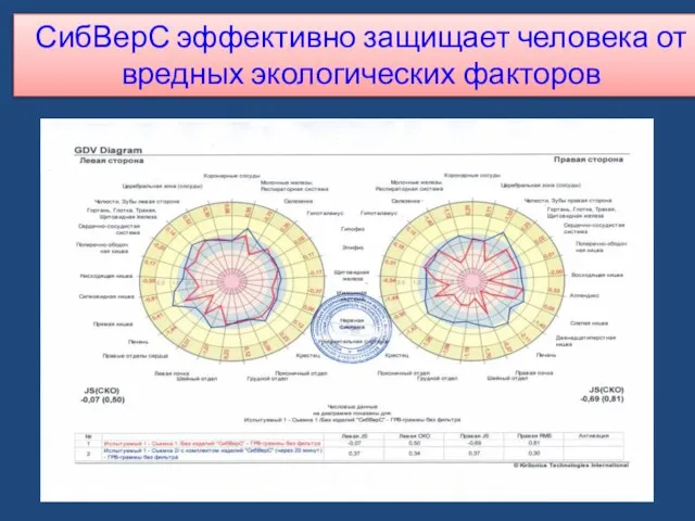 DREAM TEAM SIBVERS СибВерС эффективно защищает человека от вредных экологических факторов