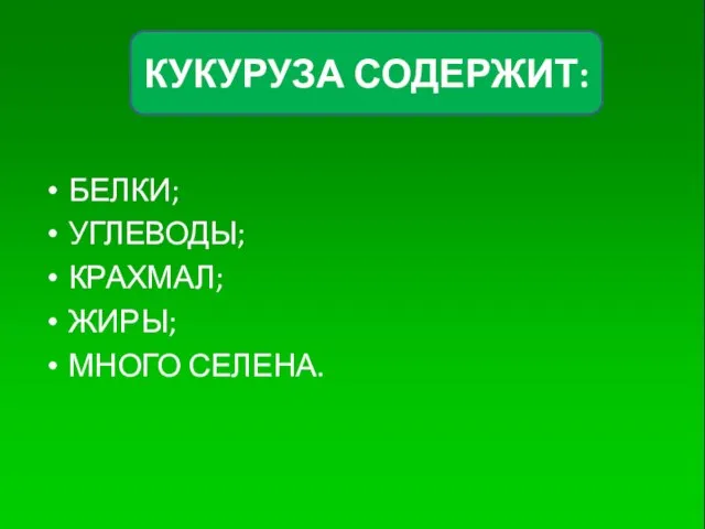 БЕЛКИ; УГЛЕВОДЫ; КРАХМАЛ; ЖИРЫ; МНОГО СЕЛЕНА. КУКУРУЗА СОДЕРЖИТ: