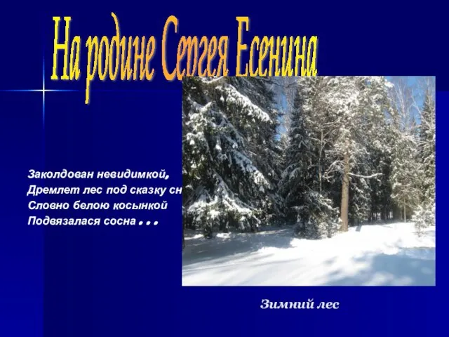 Зимний лес Заколдован невидимкой, Дремлет лес под сказку сна, Словно белою косынкой