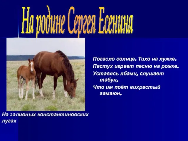 На заливных константиновских лугах Погасло солнце. Тихо на лужке. Пастух играет песню