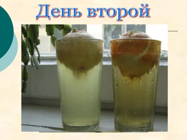 День второй