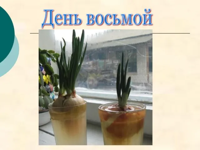 День восьмой