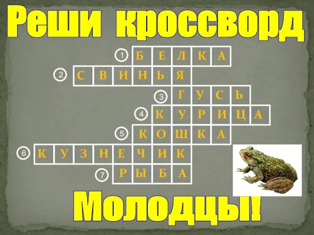 Реши кроссворд 1 2 3 4 5 6 Молодцы! Б Е Л