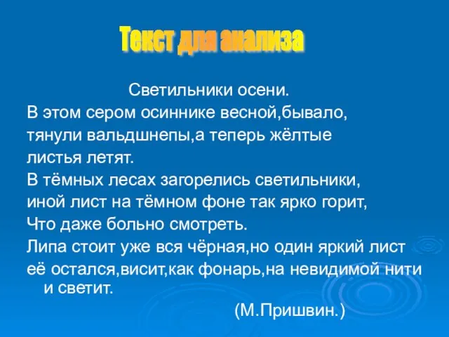 Светильники осени. В этом сером осиннике весной,бывало, тянули вальдшнепы,а теперь жёлтые листья